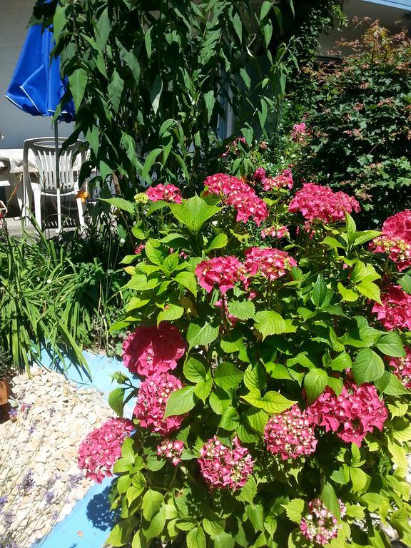Hotel Park Eden Bad Bellingen Ngoại thất bức ảnh